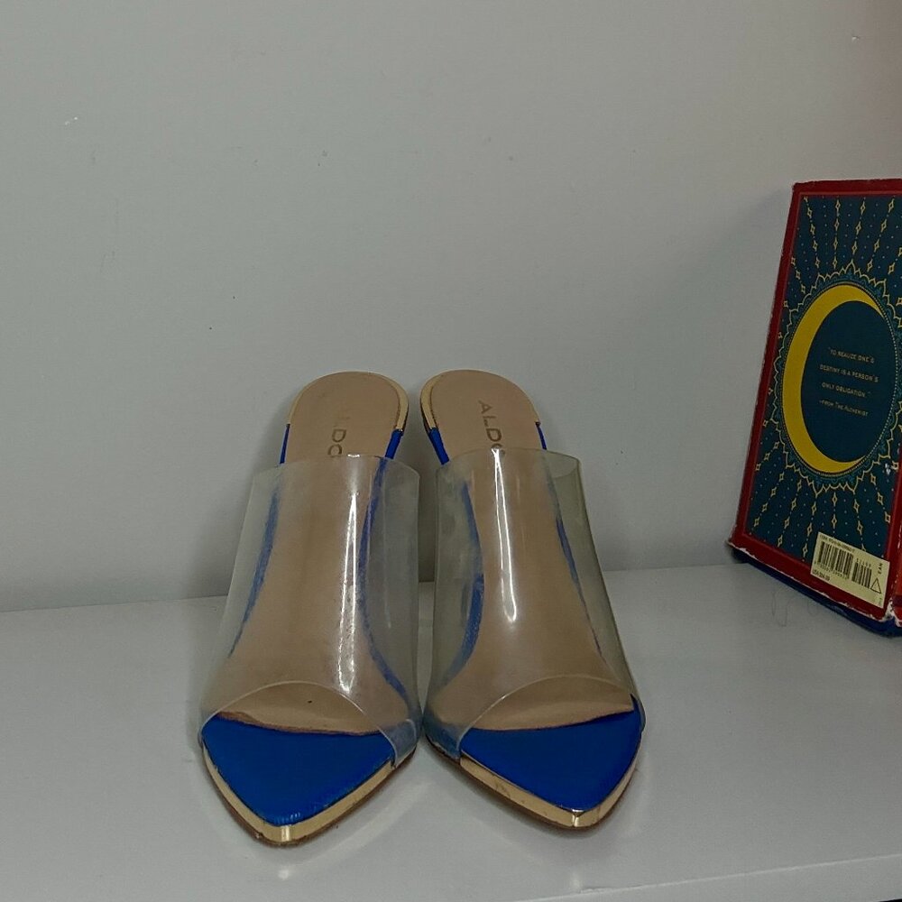 ALDO Blue and Clear Pointed-Toe Heels